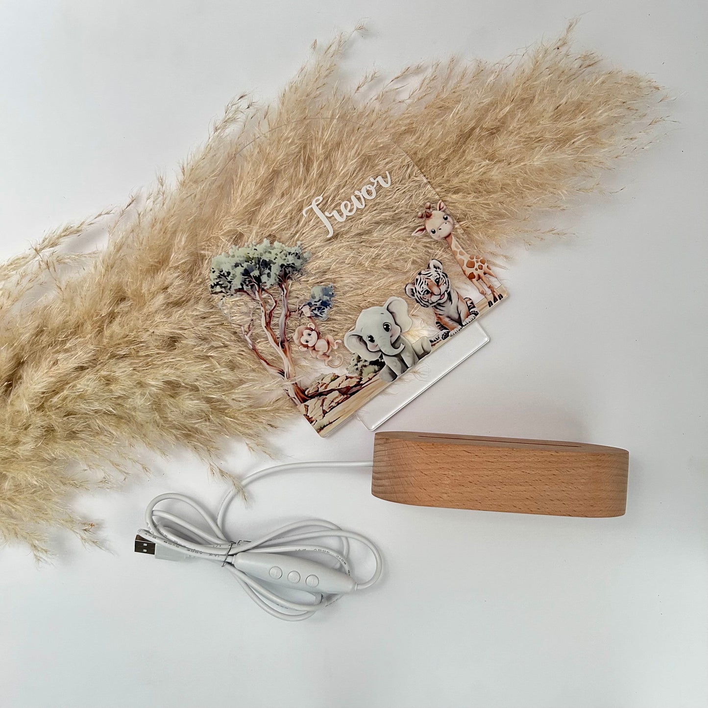 Animal personalized night lamp for kids